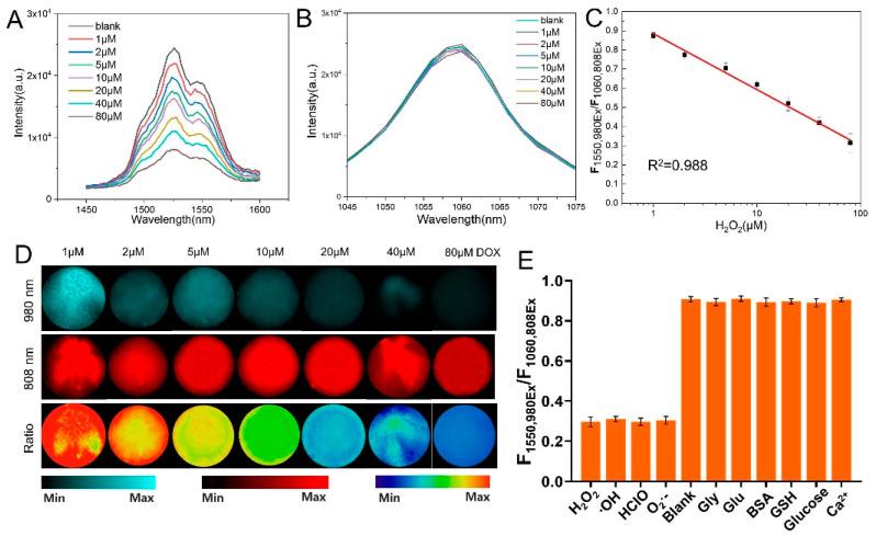 https://cdn.ncbi.nlm.nih.gov/pmc/blobs/42b1/9782036/b81e893dcd51/nanomaterials-12-04478-g003.jpg