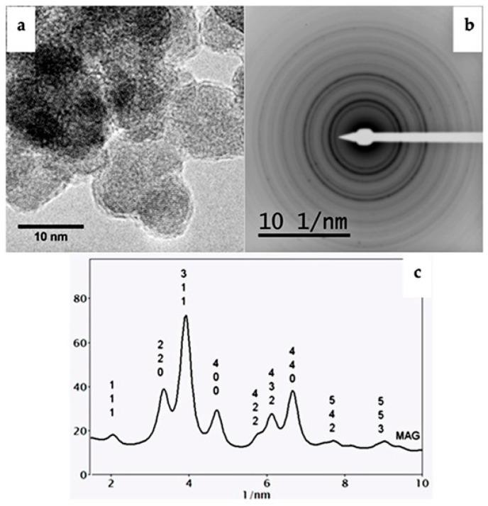 https://cdn.ncbi.nlm.nih.gov/pmc/blobs/42b3/11049812/0509c9ba7621/ijms-25-04270-g002.jpg