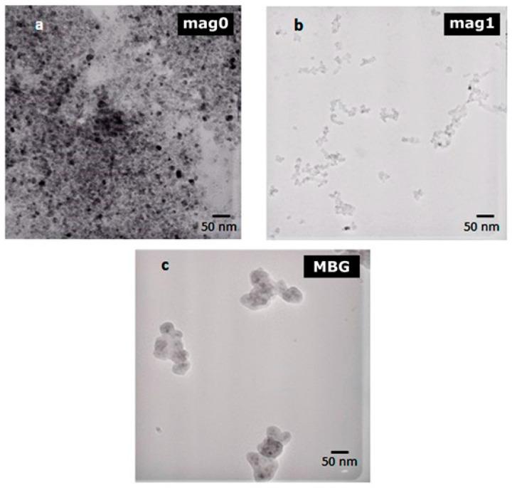 https://cdn.ncbi.nlm.nih.gov/pmc/blobs/42b3/11049812/501173006c47/ijms-25-04270-g003.jpg