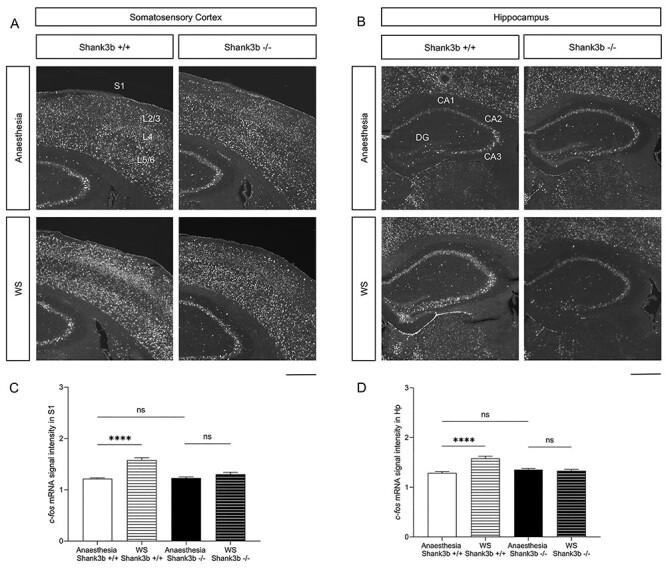 https://cdn.ncbi.nlm.nih.gov/pmc/blobs/42b3/9290535/93293b91516e/bhab399f4.jpg