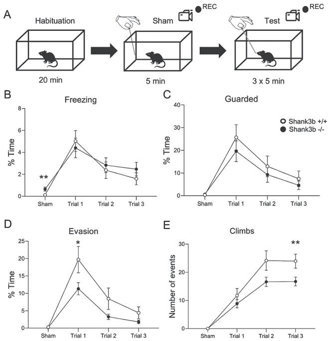 https://cdn.ncbi.nlm.nih.gov/pmc/blobs/42b3/9290535/c54c1976e32e/bhab399f2.jpg