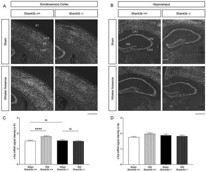 https://cdn.ncbi.nlm.nih.gov/pmc/blobs/42b3/9290535/f24768faadd5/bhab399f3.jpg