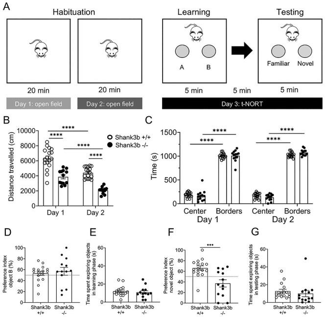 https://cdn.ncbi.nlm.nih.gov/pmc/blobs/42b3/9290535/fc82b52a2a3c/bhab399f1.jpg