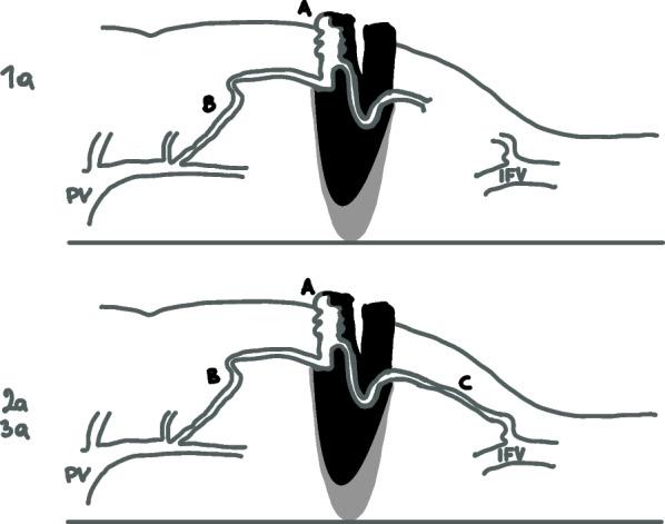 https://cdn.ncbi.nlm.nih.gov/pmc/blobs/42b4/10563348/93390b0c4da8/13017_2023_516_Fig1_HTML.jpg