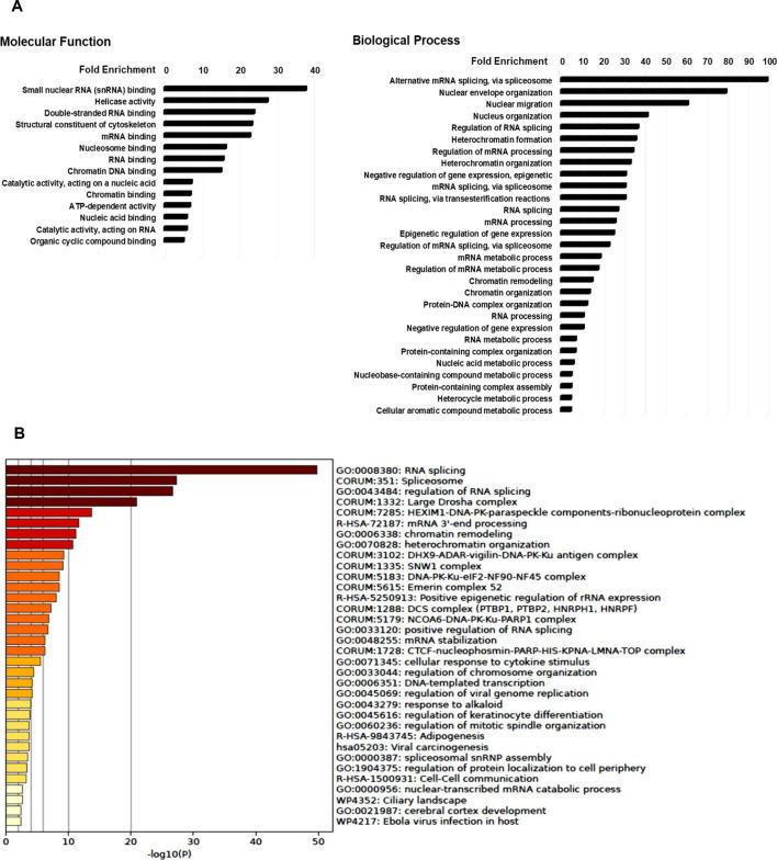 https://cdn.ncbi.nlm.nih.gov/pmc/blobs/42b4/12133338/a755e373f96b/rsob.240329.f007.jpg
