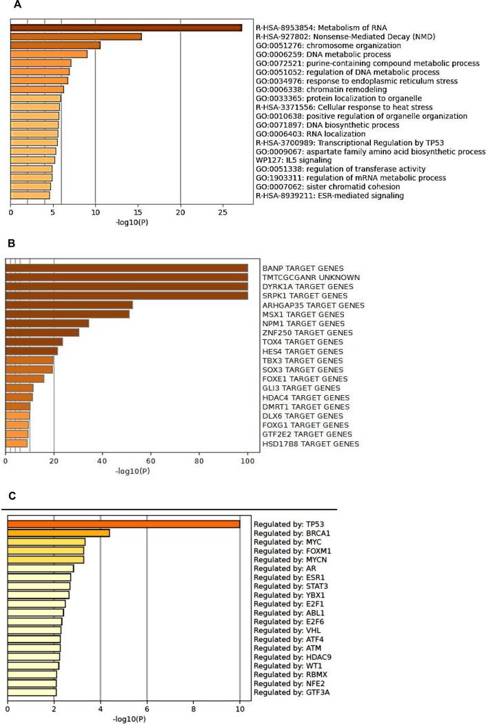 https://cdn.ncbi.nlm.nih.gov/pmc/blobs/42b4/12133338/b45e040c5cdd/rsob.240329.f009.jpg