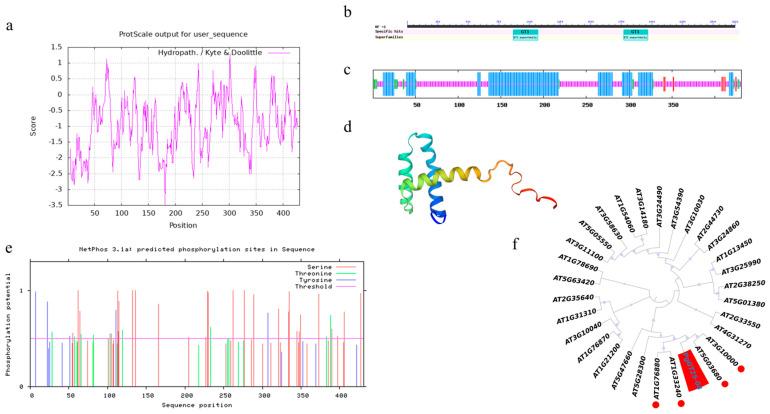 https://cdn.ncbi.nlm.nih.gov/pmc/blobs/42b7/10224475/7dc330dd37ba/plants-12-01980-g005.jpg