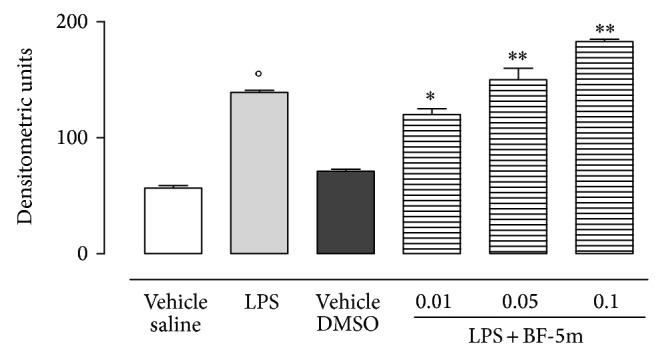 https://cdn.ncbi.nlm.nih.gov/pmc/blobs/42b7/4243589/38319a5d116c/MI2014-857958.009.jpg