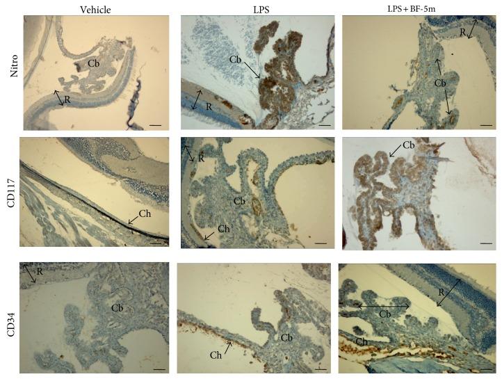 https://cdn.ncbi.nlm.nih.gov/pmc/blobs/42b7/4243589/5883165f7190/MI2014-857958.007.jpg