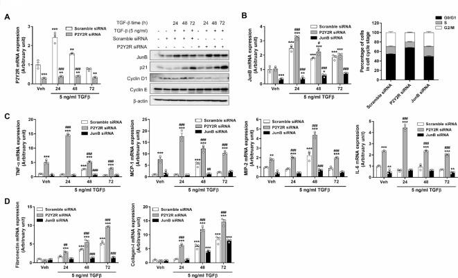 https://cdn.ncbi.nlm.nih.gov/pmc/blobs/42b8/11686187/5692df2c30ee/41598_2024_83411_Fig6_HTML.jpg