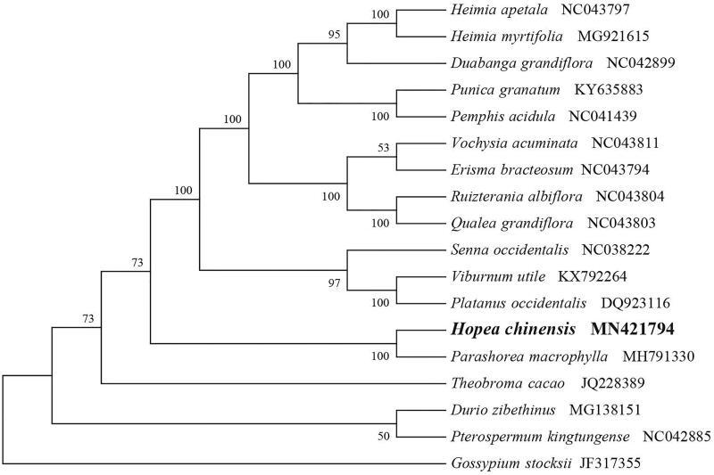 https://cdn.ncbi.nlm.nih.gov/pmc/blobs/42b9/7707529/c2d08ac291d2/TMDN_A_1681920_F0001_B.jpg