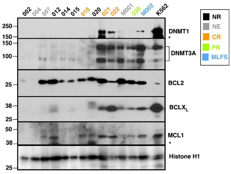 https://cdn.ncbi.nlm.nih.gov/pmc/blobs/42bb/11367232/1ad5164b16c9/1092864.fig3.jpg