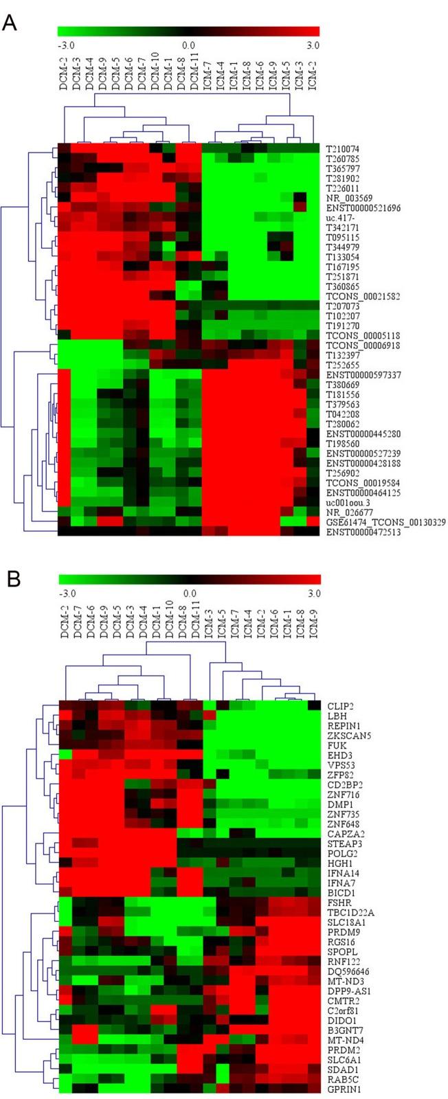 https://cdn.ncbi.nlm.nih.gov/pmc/blobs/42bb/6861296/7bf3963b0858/fgene-10-01116-g001.jpg