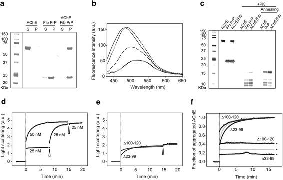 https://cdn.ncbi.nlm.nih.gov/pmc/blobs/42bd/4383067/025b04658105/40478_2015_188_Fig4_HTML.jpg