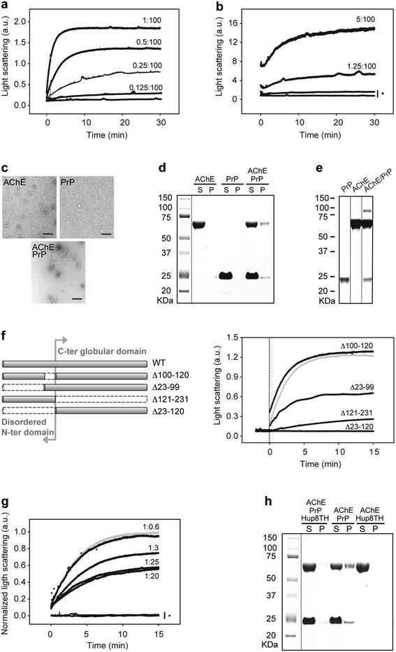 https://cdn.ncbi.nlm.nih.gov/pmc/blobs/42bd/4383067/90f372d481ae/40478_2015_188_Fig2_HTML.jpg