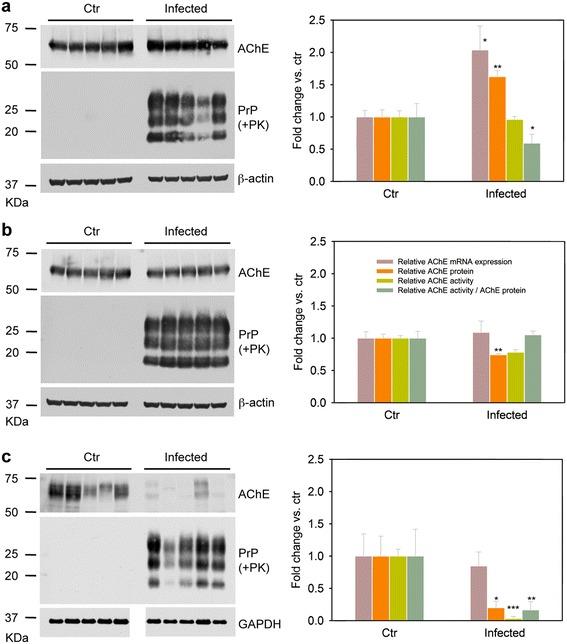 https://cdn.ncbi.nlm.nih.gov/pmc/blobs/42bd/4383067/f5e46d47376d/40478_2015_188_Fig6_HTML.jpg