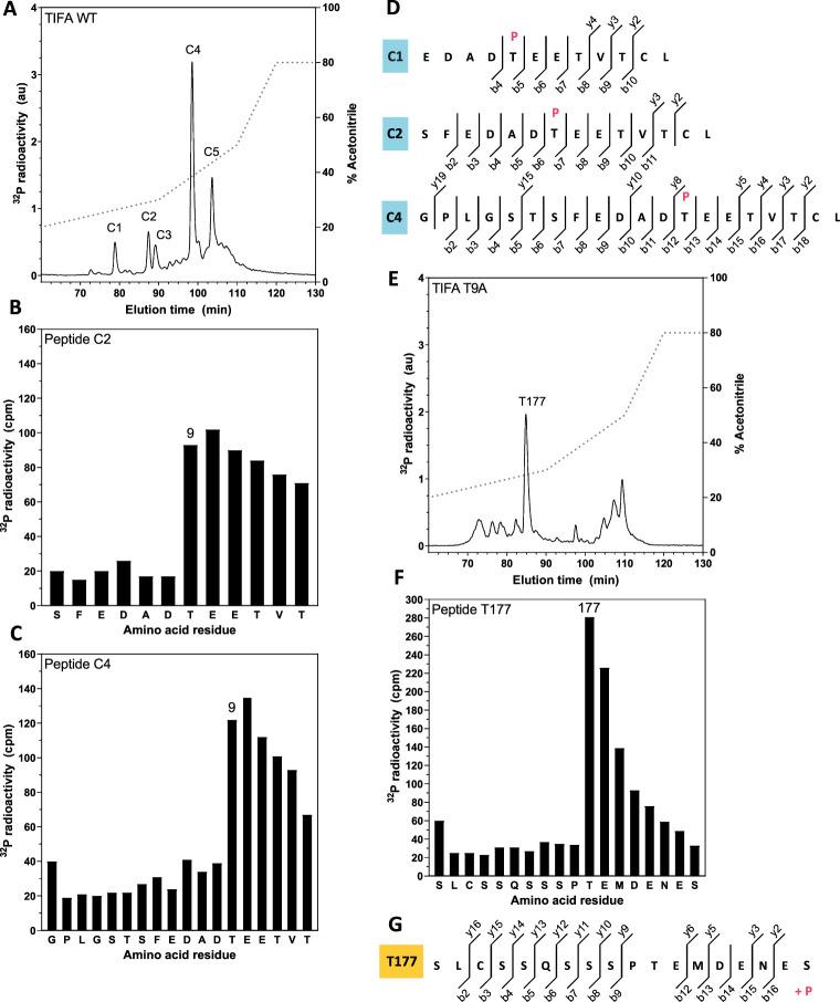 https://cdn.ncbi.nlm.nih.gov/pmc/blobs/42bd/9704527/b62c22ce2109/BCJ-479-2195-g0007.jpg
