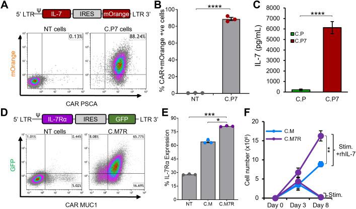 https://cdn.ncbi.nlm.nih.gov/pmc/blobs/42c2/12343627/0d4cdcbf8be6/fimmu-16-1618404-g002.jpg