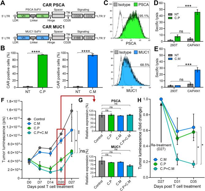 https://cdn.ncbi.nlm.nih.gov/pmc/blobs/42c2/12343627/1fbf03383bdf/fimmu-16-1618404-g001.jpg