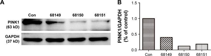 https://cdn.ncbi.nlm.nih.gov/pmc/blobs/42c5/5352242/f0f60eb36225/ijn-12-1891Fig3.jpg
