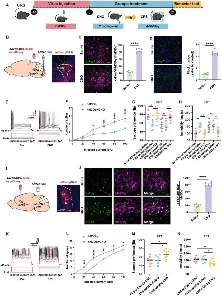 https://cdn.ncbi.nlm.nih.gov/pmc/blobs/42c7/11744721/64ca8a62f4e8/ADVS-12-2408618-g003.jpg