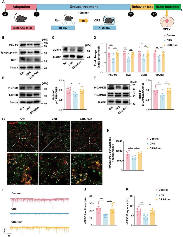 https://cdn.ncbi.nlm.nih.gov/pmc/blobs/42c7/11744721/8c2f07906f47/ADVS-12-2408618-g001.jpg