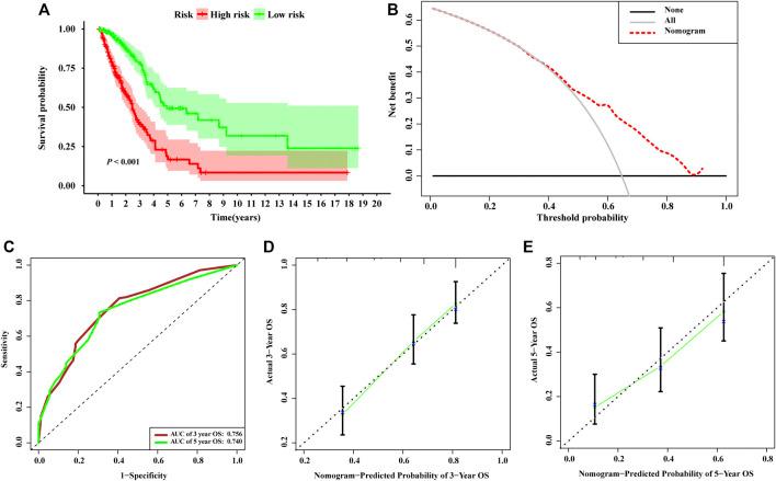 https://cdn.ncbi.nlm.nih.gov/pmc/blobs/42c7/9354127/39d7d9a083ae/fgene-13-833362-g006.jpg