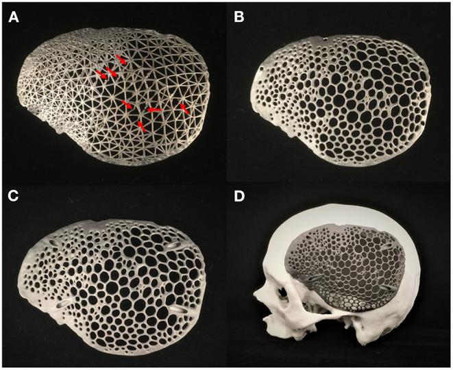https://cdn.ncbi.nlm.nih.gov/pmc/blobs/42c9/8063040/cc6a888fbbb7/fphys-12-647923-g0008.jpg