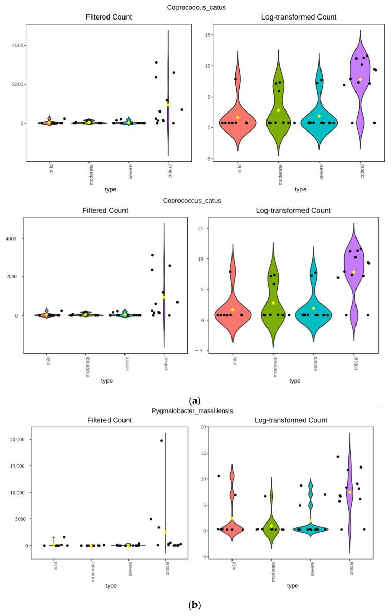 https://cdn.ncbi.nlm.nih.gov/pmc/blobs/42ce/12031135/905c87c02a54/viruses-17-00520-g008a.jpg