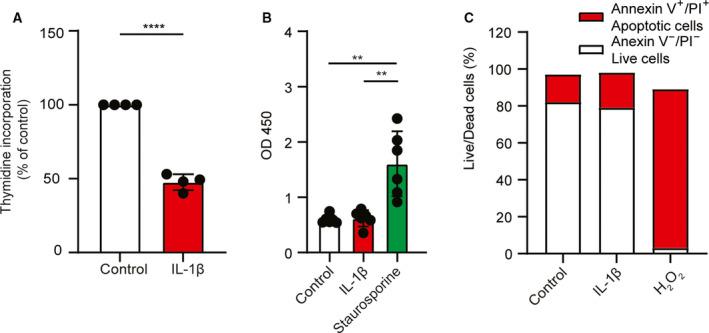 https://cdn.ncbi.nlm.nih.gov/pmc/blobs/42ce/8167874/56b5f8680951/FEB4-11-1719-g001.jpg