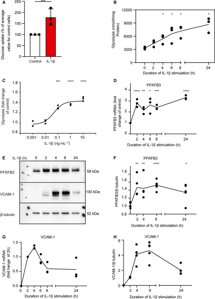 https://cdn.ncbi.nlm.nih.gov/pmc/blobs/42ce/8167874/8fc25cc1a567/FEB4-11-1719-g004.jpg