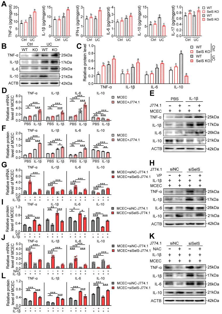 https://cdn.ncbi.nlm.nih.gov/pmc/blobs/42d0/11426251/038cd5cedd6f/thnov14p5903g007.jpg