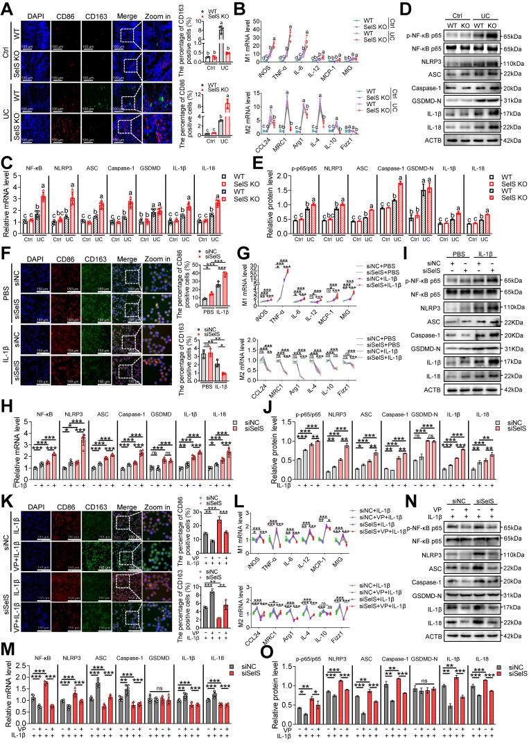 https://cdn.ncbi.nlm.nih.gov/pmc/blobs/42d0/11426251/4cb659edd52a/thnov14p5903g002.jpg