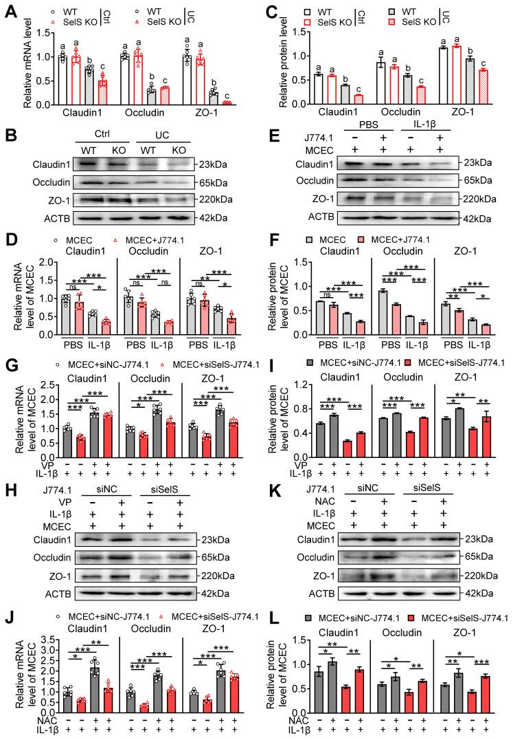 https://cdn.ncbi.nlm.nih.gov/pmc/blobs/42d0/11426251/648b4ccd3d35/thnov14p5903g008.jpg