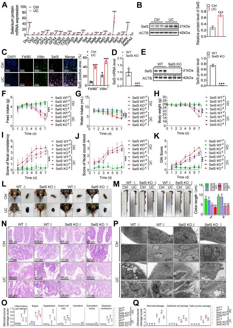 https://cdn.ncbi.nlm.nih.gov/pmc/blobs/42d0/11426251/6a13e5e1b701/thnov14p5903g001.jpg