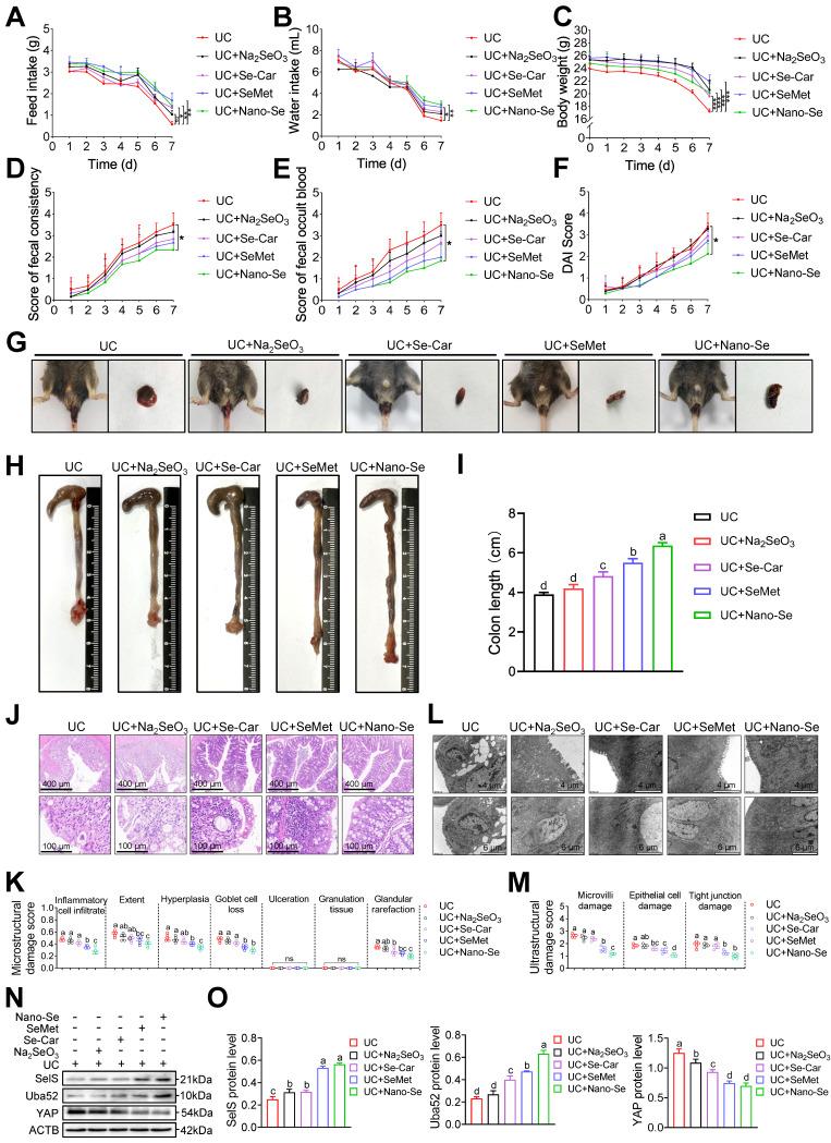 https://cdn.ncbi.nlm.nih.gov/pmc/blobs/42d0/11426251/88bfe8e135a9/thnov14p5903g009.jpg