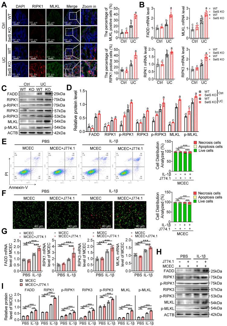 https://cdn.ncbi.nlm.nih.gov/pmc/blobs/42d0/11426251/f3900d4df32b/thnov14p5903g006.jpg