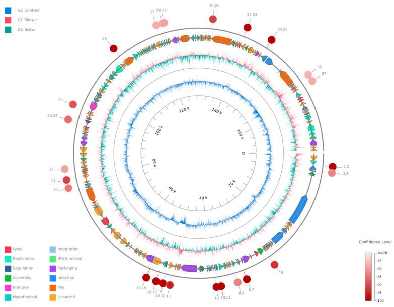 https://cdn.ncbi.nlm.nih.gov/pmc/blobs/42d1/12029707/42a9ca60ad3a/microorganisms-13-00908-g003.jpg