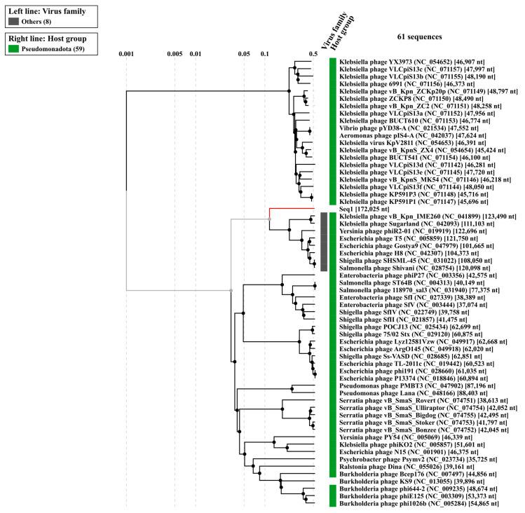 https://cdn.ncbi.nlm.nih.gov/pmc/blobs/42d1/12029707/8adc5890b6e4/microorganisms-13-00908-g004.jpg