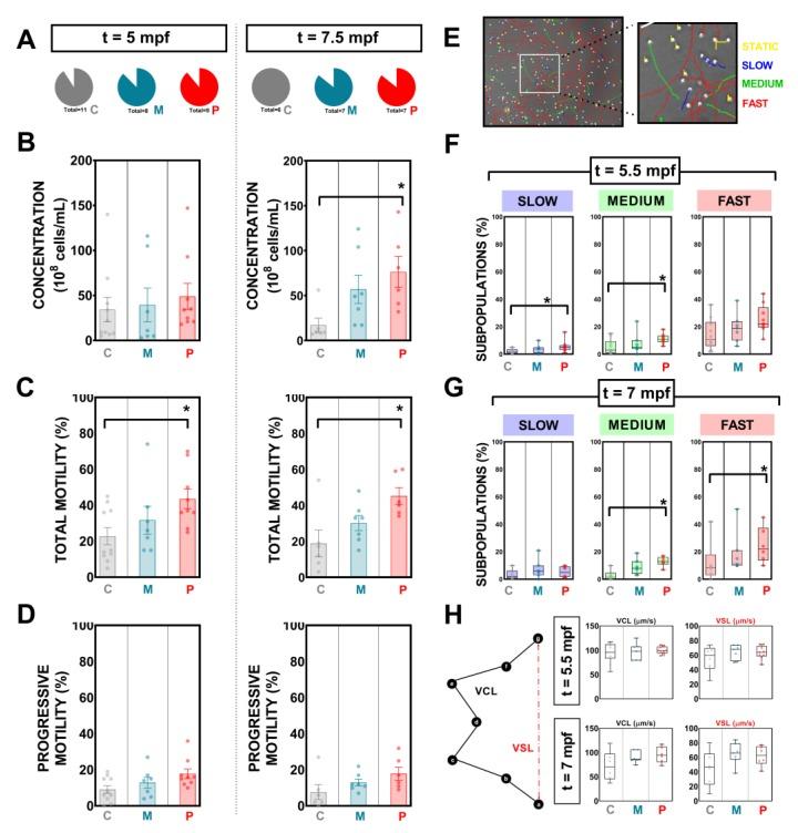 https://cdn.ncbi.nlm.nih.gov/pmc/blobs/42d2/6724062/04c4f73b815a/biomolecules-09-00338-g004.jpg