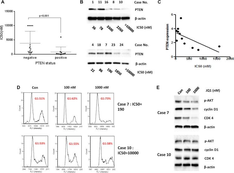 https://cdn.ncbi.nlm.nih.gov/pmc/blobs/42d6/5341839/6ac2a9be635d/oncotarget-07-66809-g006.jpg