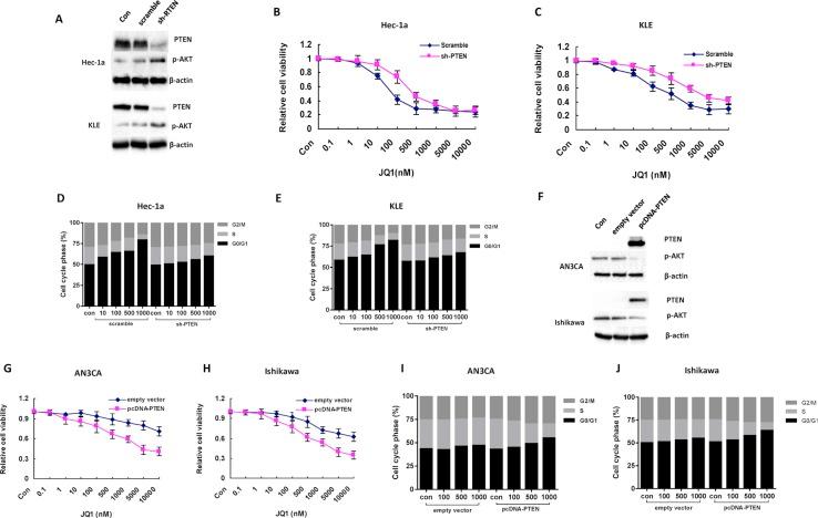 https://cdn.ncbi.nlm.nih.gov/pmc/blobs/42d6/5341839/801f39444bd4/oncotarget-07-66809-g004.jpg
