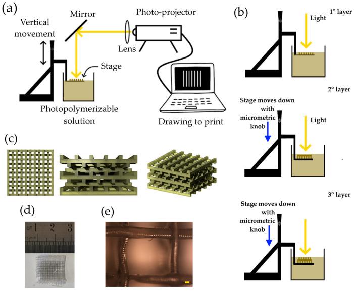 https://cdn.ncbi.nlm.nih.gov/pmc/blobs/42d8/11054970/a7a0ce48eacb/polymers-16-01034-g001.jpg
