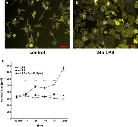 https://cdn.ncbi.nlm.nih.gov/pmc/blobs/42da/3198511/60d1ae004a8e/fphys-02-00071-g001.jpg