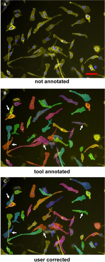 https://cdn.ncbi.nlm.nih.gov/pmc/blobs/42da/3198511/757bef1d1aaa/fphys-02-00071-g002.jpg