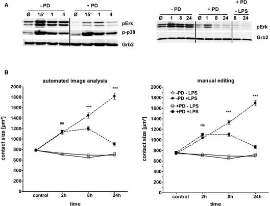 https://cdn.ncbi.nlm.nih.gov/pmc/blobs/42da/3198511/7c9329554729/fphys-02-00071-g006.jpg