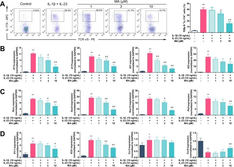 https://cdn.ncbi.nlm.nih.gov/pmc/blobs/42db/7490397/3c45f11f9502/41419_2020_2969_Fig3_HTML.jpg