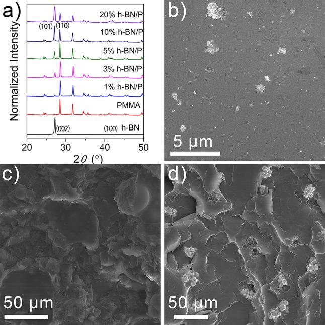 https://cdn.ncbi.nlm.nih.gov/pmc/blobs/42dc/11884186/5d0d0d5941c6/13018_2025_5626_Fig1_HTML.jpg