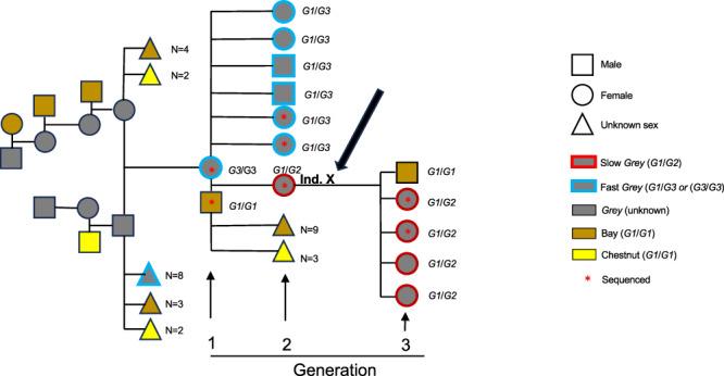 https://cdn.ncbi.nlm.nih.gov/pmc/blobs/42dd/11362437/d59fe411b660/41467_2024_51898_Fig5_HTML.jpg