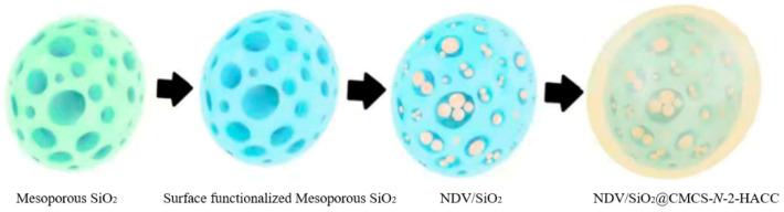 https://cdn.ncbi.nlm.nih.gov/pmc/blobs/42de/8123207/75c48c58315f/molecules-26-02490-g001.jpg